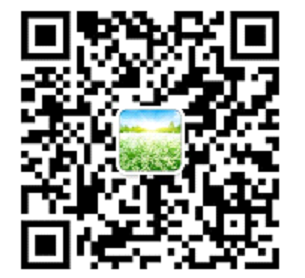 K8凯发